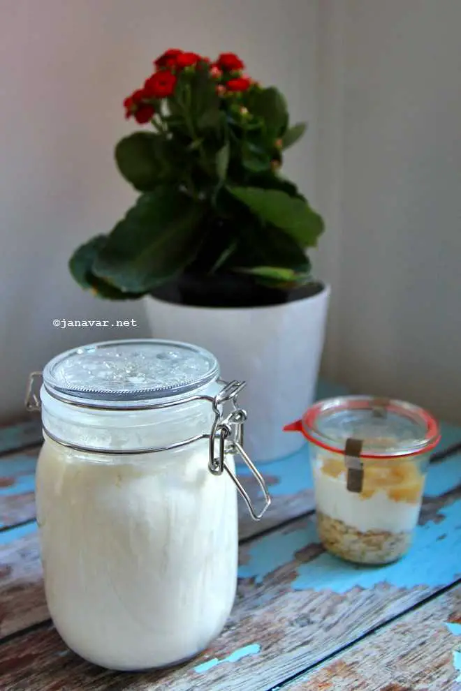 Recipe: Super Easy to Make Homemade Yogurt - janavar