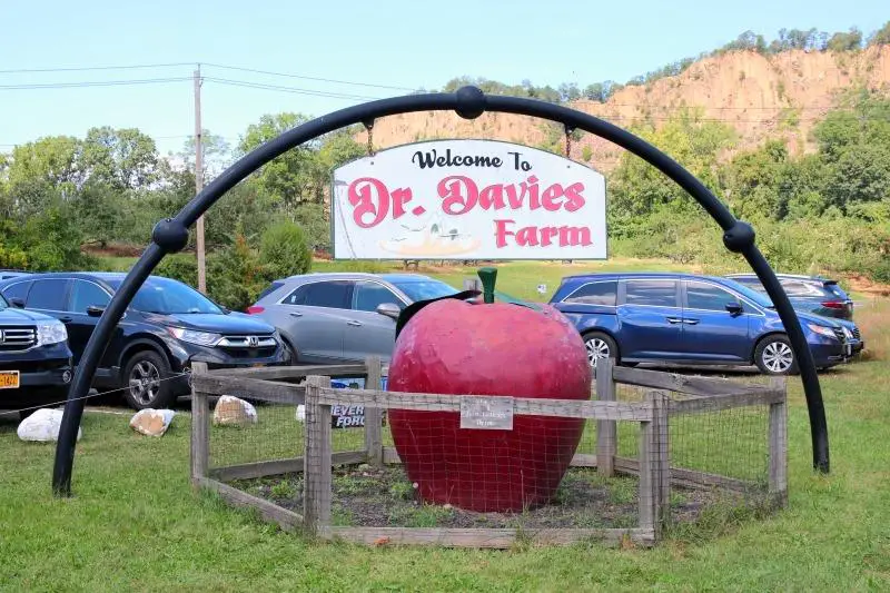 Apple Picking at Dr. Davies Farm New York State Travel | janavar