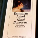 Gelesen: “Hotel Bosporus” von Esmahan Aykol