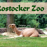 Besuch im Rostocker Zoo