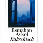 Gelesen: “Bakschisch” von Esmahan Aykol