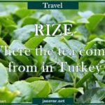 Travel: Rize – Where the tea comes from in Turkey