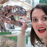 Travel: Smithsonian National Museum of Natural History