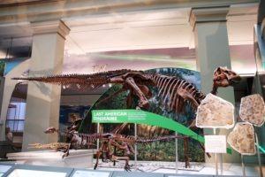 Travel: Smithsonian National Museum of Natural History - janavar