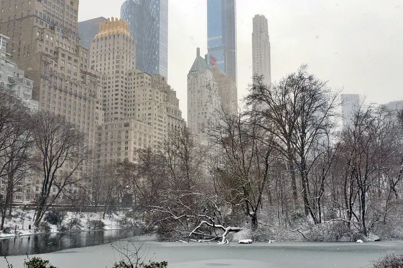 New York City's First Snowstorm in Winter 202021 janavar
