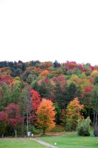 Travel: Photo Diary of My Foliage Road Trip in Vermont | janavar
